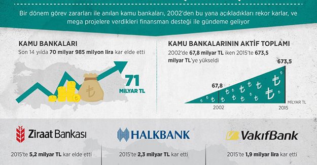 Kamu bankaları altın çağını yaşıyor