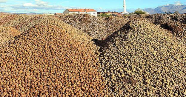 Pancar üreticisi 60 yıllık fabrikasına sahip çıktı