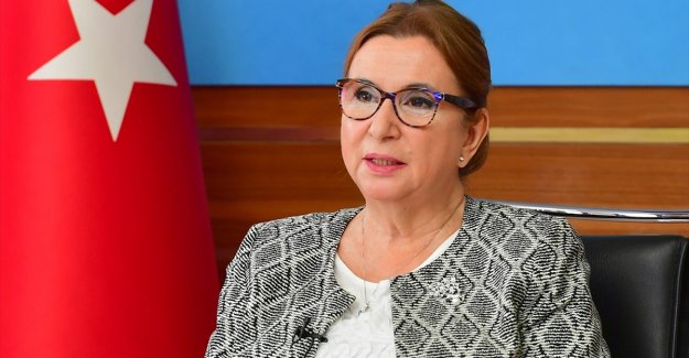 Bakan Pekcan'dan ihracatçılara yeni finansman müjdesi