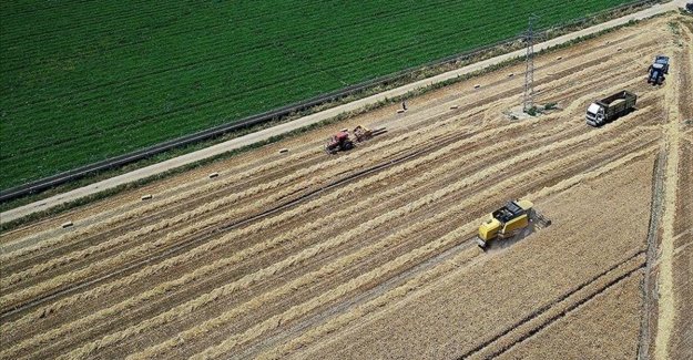 Bakan Pakdemirli: Tarımsal destek ödemeleri bugün başlıyor