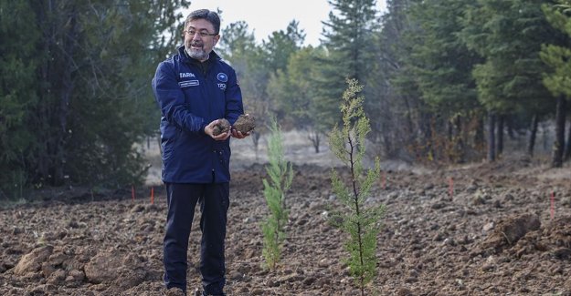 Tarım ve Orman Bakanı Yumaklı'dan ata tohumu mesajı