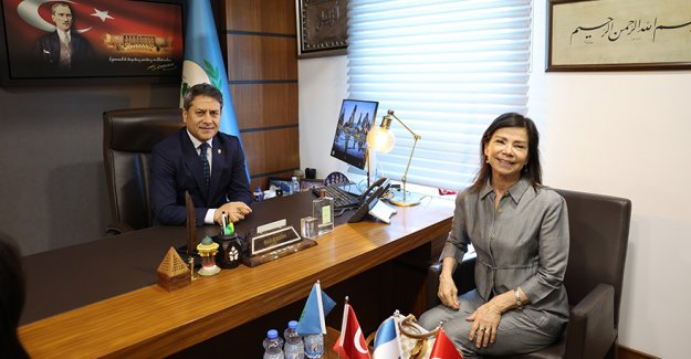 Tbmm Parlatino Türk Delegasyonu Başkanı Şahin, Arjantin'in Ankara Büyükelçisi Salas’ı Kabul Etti