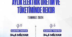 Elektrikte Temmuz Rekoru